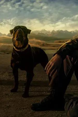 Kamen Rider Decade: All Riders Super Spin-off