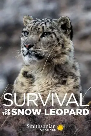 Survival Of The Snow Leopard Survival Of The Snow Leopard