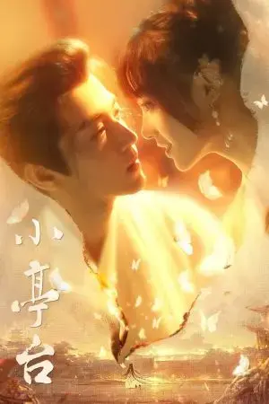 Tiểu Đình Đài Tiểu Đình Đài