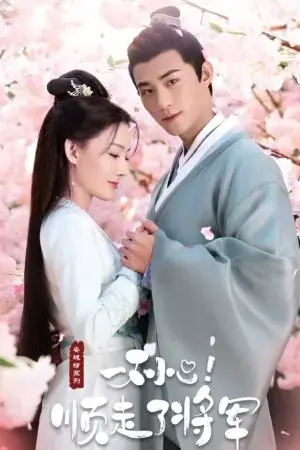 Vô Tình Phải Lòng Tướng Quân (Trộm Phải Tim Chàng) Vô Tình Phải Lòng Tướng Quân (Trộm Phải Tim Chàng)